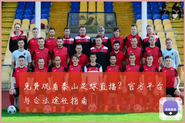 免费观看泰山足球直播？官方平台与合法途径指南