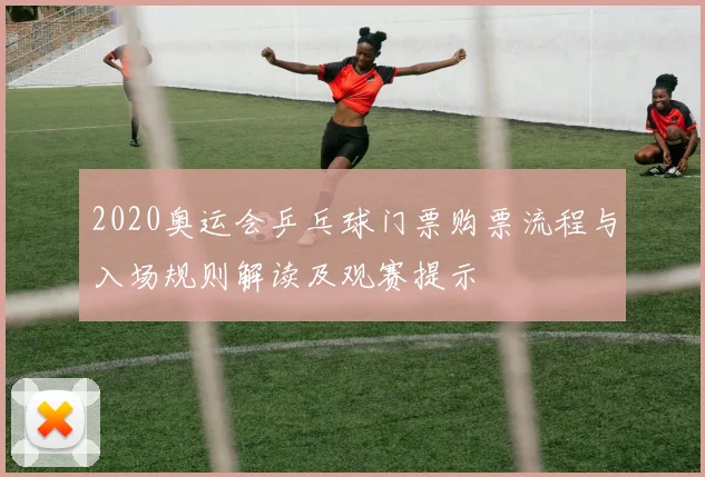 2020奥运会乒乓球门票购票流程与入场规则解读及观赛提示