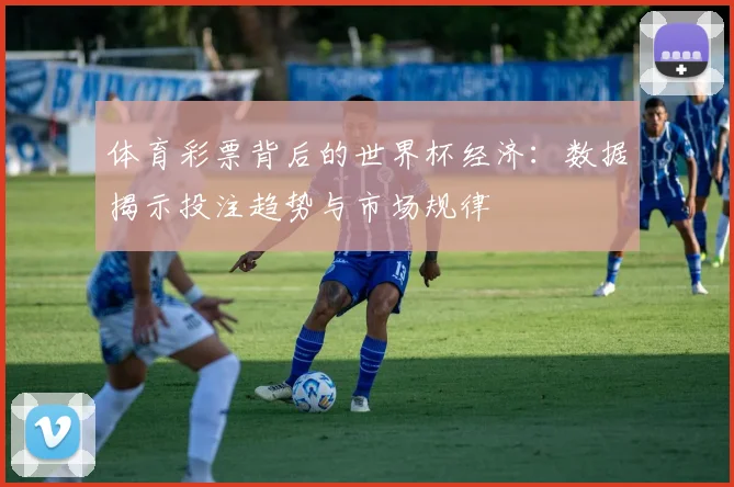 体育彩票背后的世界杯经济：数据揭示投注趋势与市场规律