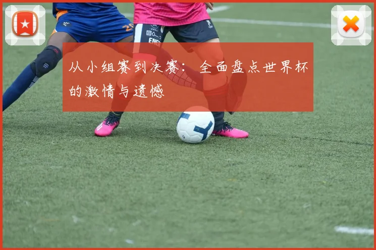 从小组赛到决赛：全面盘点世界杯的激情与遗憾