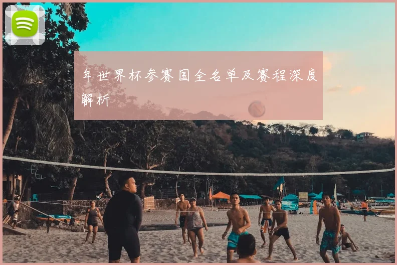 年世界杯参赛国全名单及赛程深度解析