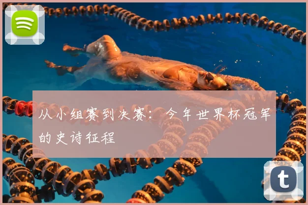 从小组赛到决赛：今年世界杯冠军的史诗征程
