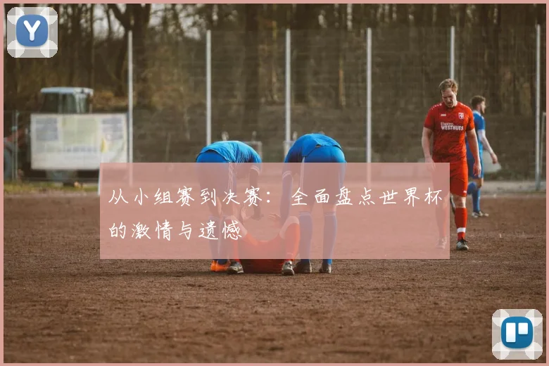 从小组赛到决赛：全面盘点世界杯的激情与遗憾