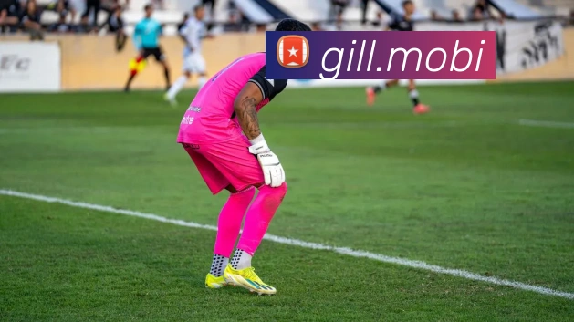 必一运动网页平台生态图